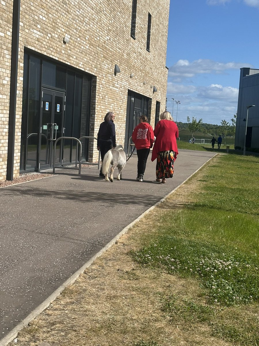 MrsOliver01's tweet photo. Brilliant morning spent @wlwinchburgh_ac during our enhanced transition programme #hoofbeats #theraponies https://t.co/W33Othz0EG