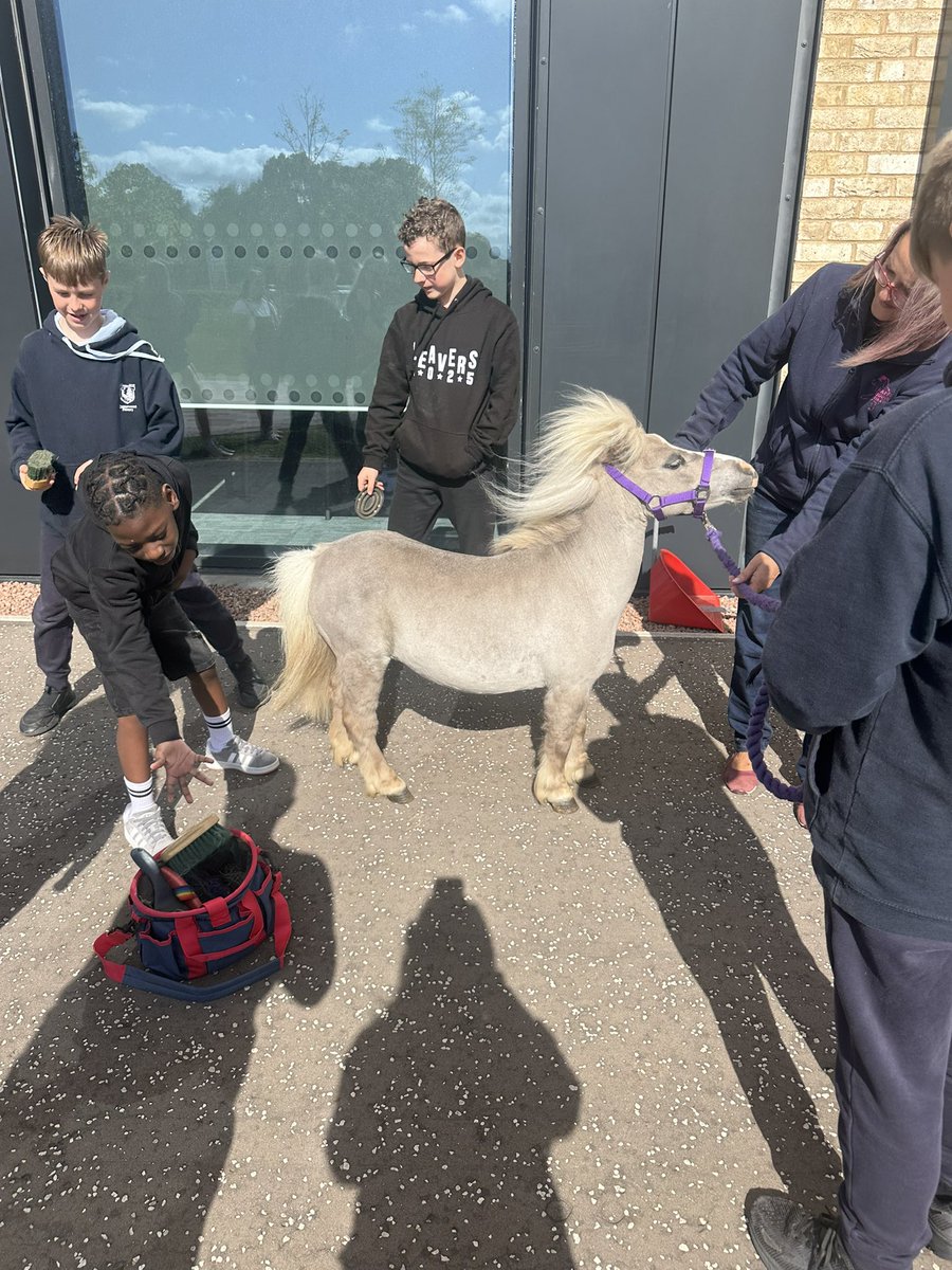 MrsOliver01's tweet photo. Brilliant morning spent @wlwinchburgh_ac during our enhanced transition programme #hoofbeats #theraponies https://t.co/W33Othz0EG