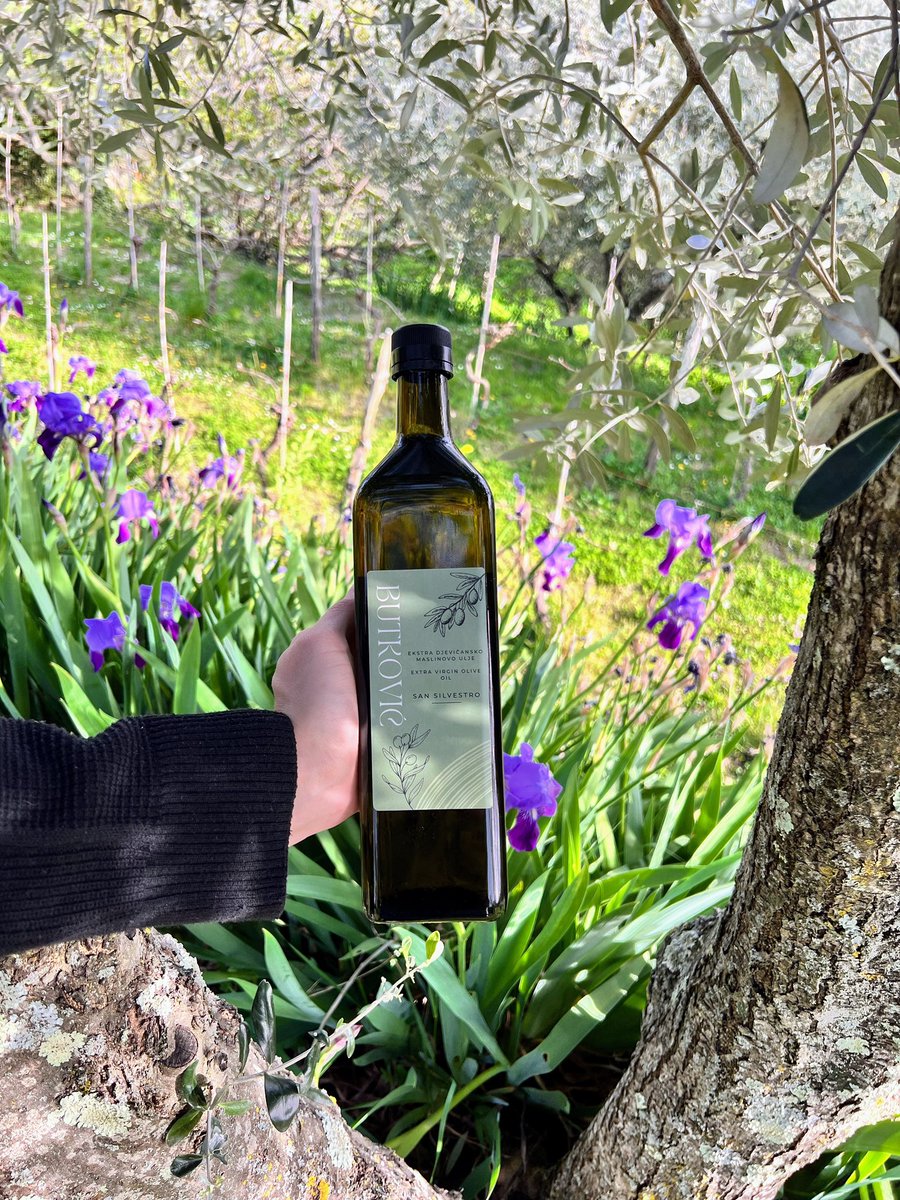 OlivetoButkovic's tweet photo. Naše organsko maslinovo ulje 🌿 dolazi iz netaknute prirode Istre 🇭🇷. Hladno prešano 🫒, bez pesticida i aditiva – samo čista priroda u svakoj kapljici ✨. Bogato antioksidansima 💚, poboljšava okus hrane 🍽️ i tvoje raspoloženje 😊. Osjeti razliku i uživaj u zdravlju iz prirode! https://t.co/Pu98zmK14q