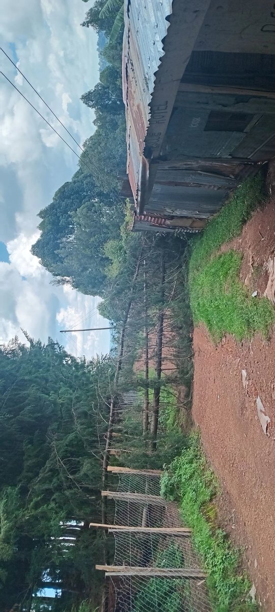 Tonto003's tweet photo. #PowerSawa no power behind borabu technical training institute  we are students staying around this area in total darkness in an insecure place  for the fourth day. Even after contacting you several times, it's disappointing and so irritating 😒 https://t.co/sCHuMTwsMl