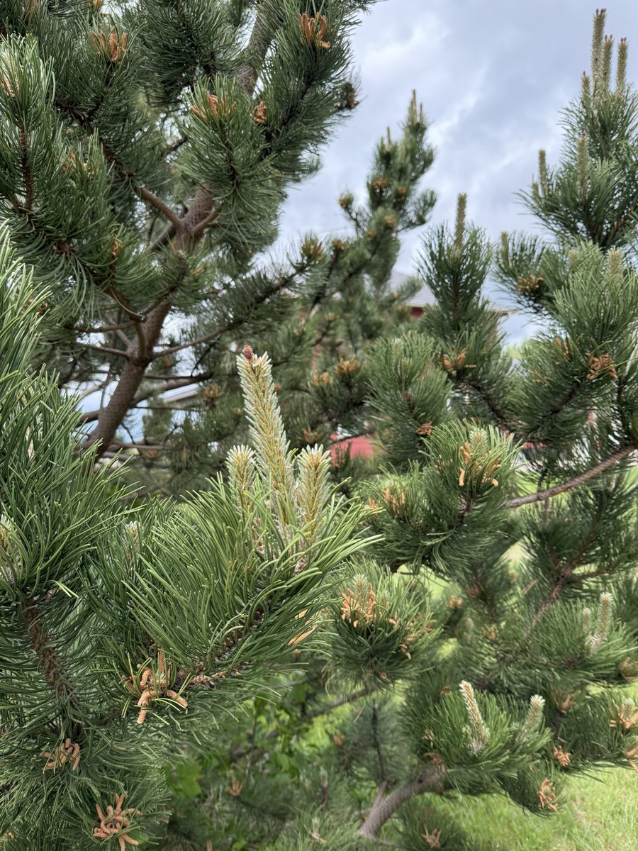 Somebody is prickly today.