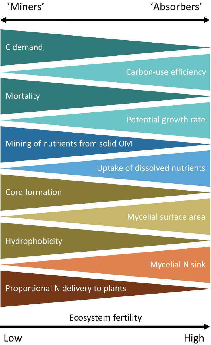 New Phytologist (@newphyt) on Twitter photo #Viewpoint: A trait spectrum linking #nitrogen acquisition and #carbon use of #ectomycorrhizal #fungi
Jörgensen et al.
👇
📖 nph.onlinelibrary.wiley.com/doi/10.1111/np…
#LatestIssue <a href="/wileyplantsci/">Wiley Plant Science</a> #Viewpoint: A trait spectrum linking #nitrogen acquisition and #carbon use of #ectomycorrhizal #fungi
Jörgensen et al.
👇
📖 nph.onlinelibrary.wiley.com/doi/10.1111/np…
#LatestIssue <a href="/wileyplantsci/">Wiley Plant Science</a>