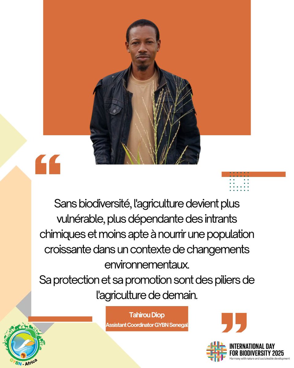 Senegal Youth Biodiversity Network (@gybn_senegal) on Twitter photo Message de l'Assitant Coordonnateur GYBN-Senegal à l'ocasion de la celebration de la Journée de la Biodiversité.
<a href="/GYBNAfrica/">GYBN Africa</a> <a href="/GYBN_CBD/">Global Youth Biodiversity Network (GYBN)</a> <a href="/UNBiodiversity/">UN Biodiversity</a> <a href="/PrdaoudaN/">Pr Daouda Ngom</a> <a href="/SchomakerAstrid/">Astrid Schomaker</a> <a href="/PR_Diomaye/">Bassirou Diomaye Faye</a> <a href="/SonkoOfficiel/">Ousmane Sonko</a> #BiodiversityDay2025
<a href="/ABG_49/">Alioune Badara GUEYE</a> 🌳🇸🇳 Message de l'Assitant Coordonnateur GYBN-Senegal à l'ocasion de la celebration de la Journée de la Biodiversité.
<a href="/GYBNAfrica/">GYBN Africa</a> <a href="/GYBN_CBD/">Global Youth Biodiversity Network (GYBN)</a> <a href="/UNBiodiversity/">UN Biodiversity</a> <a href="/PrdaoudaN/">Pr Daouda Ngom</a> <a href="/SchomakerAstrid/">Astrid Schomaker</a> <a href="/PR_Diomaye/">Bassirou Diomaye Faye</a> <a href="/SonkoOfficiel/">Ousmane Sonko</a> #BiodiversityDay2025
<a href="/ABG_49/">Alioune Badara GUEYE</a> 🌳🇸🇳