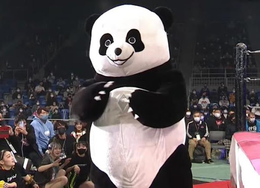 Andreza Giant Panda is the 68th highest-rated wrestler OF ALL TIME