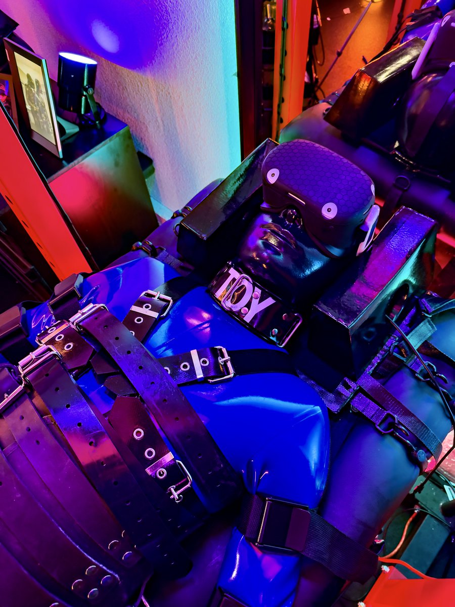 ShinyToy tweet media