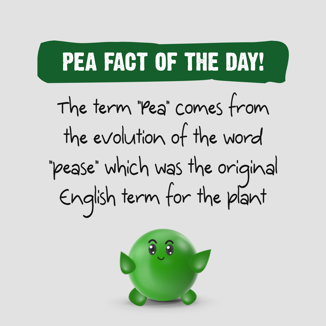 A fact of the day that keeps the peas from rolling away! 

#factoftheday #interestingfacts #peas
