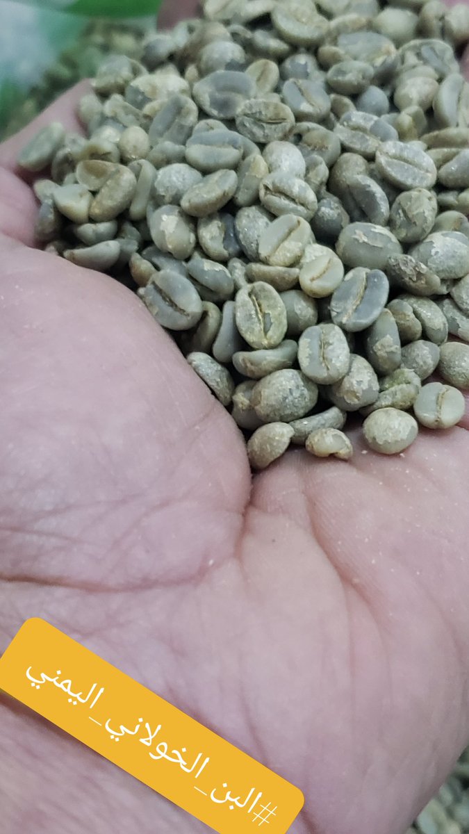 تتميز حبوب #القهوة_الخضراء العديني بلونها الاخضر ورائحتها الزكية ،كما تتميز بجودتها العالية ومذاقها الفريد مع نكهات فاكهية متوازنة تجعل منها الخيار الامثل للكثير من عشاق #القهوة.