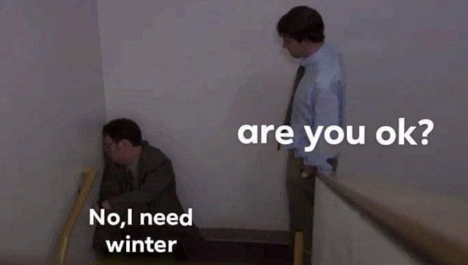 Synexdoche (@amor_fatti) on Twitter photo 