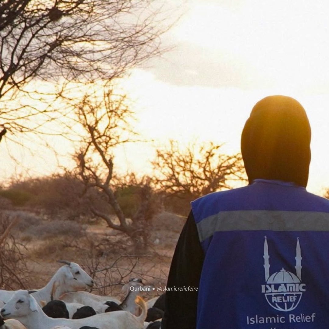 Alhamdulillah, with your generous support and Allah’s blessings, over two million people received Qurbani last year.💙

Islamic Relief teams are now gearing up to deliver Qurbani to communities.

🐏 Visit our website to give Qurbani | lnkd.in/eXZV3bCV