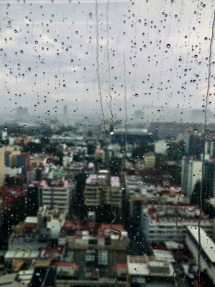 RafaKaxio's tweet image. 🌧️ Ciudad mojada.
☕ Café caliente.
🧠 Pensamientos tibios.
Y yo… intentando no desaparecer entre tanta prisa.
No es drama, es daily blog.
#RafaKaxio #DailyBlog #LluviaEnCDMX 🌆