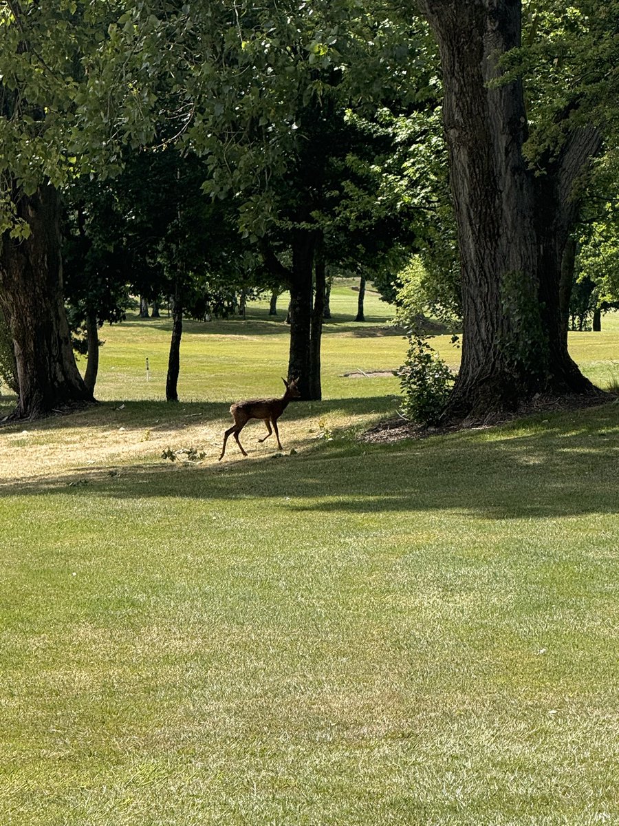 Ethan Yates tweet media