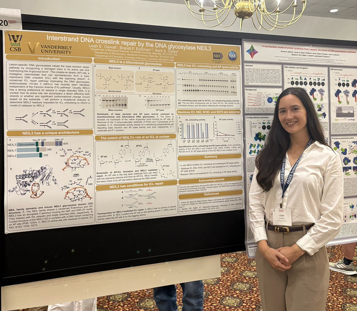 I had a great time this week at the <a href="/FASEBorg/">FASEB</a> 2025 Machines on Genes conference! I connected with scientists from across the world and shared a poster outlining my ongoing thesis work, which received the award for Best Poster. Looking forward to attending again in the future!