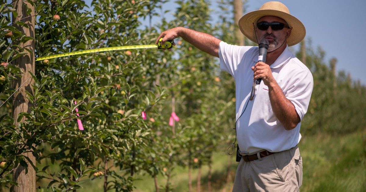 Mario Miranda Sazo, fruit extension specialist with CCE's Lake Ontario Fruit Program, joins CCE's 'Extension Out Loud' podcast to discuss how advanced technology and agricultural techniques are revolutionizing apple orchards. 🎙🍎

🎧 Tune in at buff.ly/kwedP45