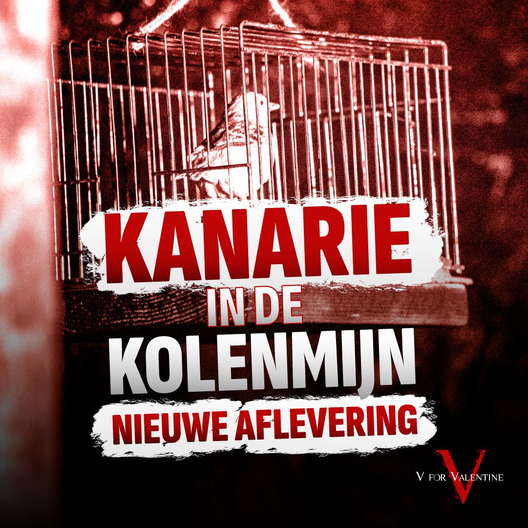 V4Valentineshow's tweet image. 🚨 NU IN PREMIÈRE! V for Valentine met de Kanarie in de kolenmijn. Hoe de financiële situatie van Japan een voorbode is voor het onheil dat ook de rest van de wereld te wachten staat. Kijk nu mee 👉 youtu.be/LG6Ktu8Bx0I?si…