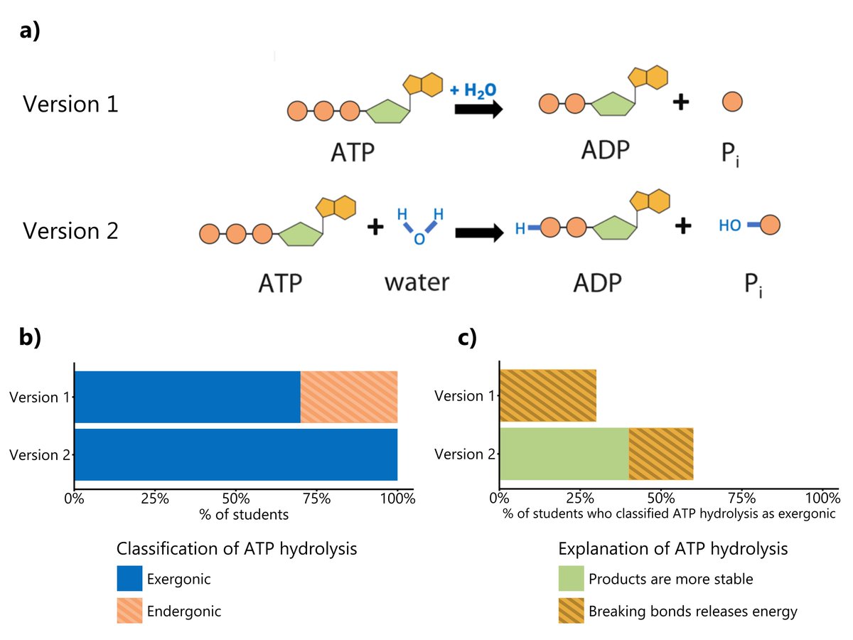 What might make learning ATP hydrolysis a bit easier for students? Showing the bonds breaking and forming in the reaction!

Read about our new research in microPublication Biology! 
micropublication.org/journals/biolo…