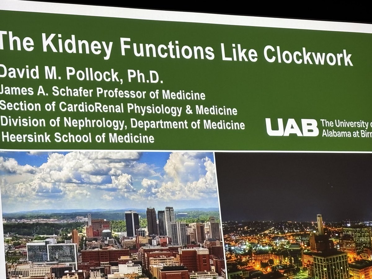 Anupam Agarwal (@anupamuab) on Twitter photo <a href="/davidpollock929/">David Pollock</a> presenting the 9th James Schafer lecture! <a href="/UABHeersink/">UAB Heersink School of Medicine</a> <a href="/UAB_NRTC/">UAB Nephrology</a> <a href="/UABNews/">UAB</a> <a href="/davidpollock929/">David Pollock</a> presenting the 9th James Schafer lecture! <a href="/UABHeersink/">UAB Heersink School of Medicine</a> <a href="/UAB_NRTC/">UAB Nephrology</a> <a href="/UABNews/">UAB</a>