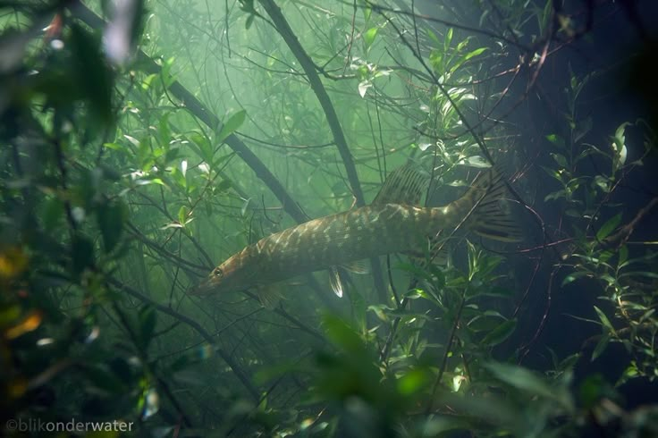The Water Museum tweet media