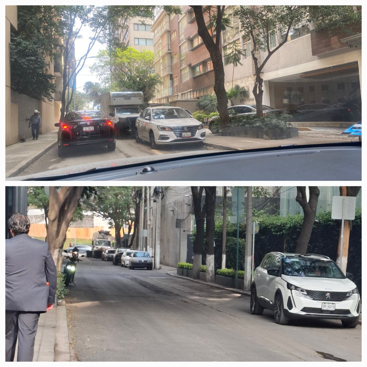 Umbral Polanco 🌳 tweet media