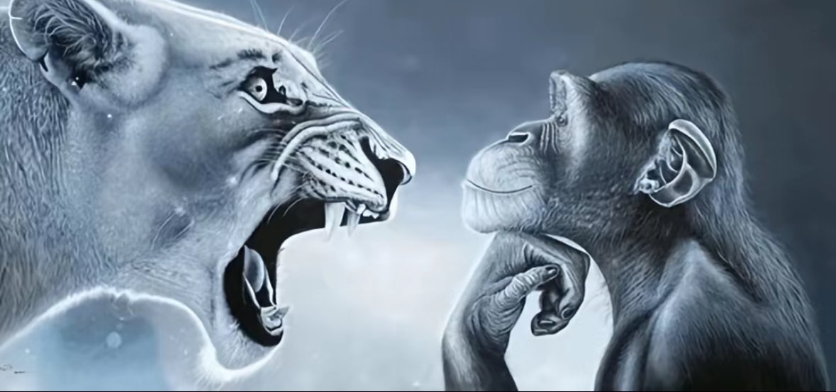 shadow milk and pure vanilla