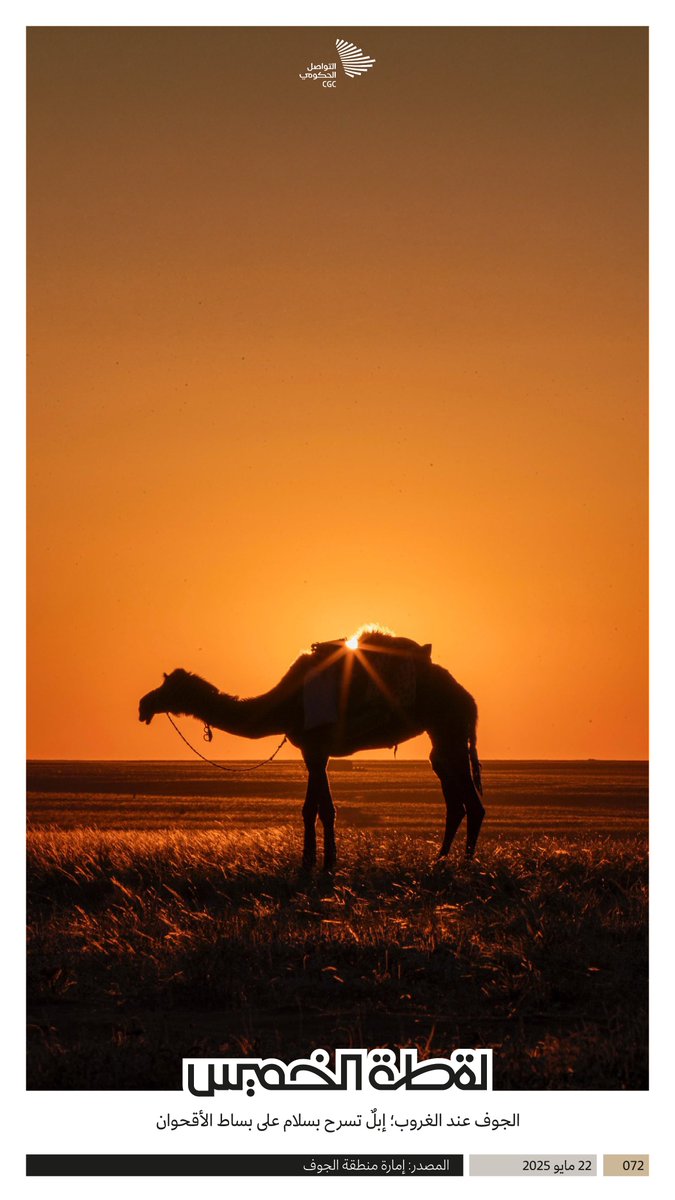 CGCSaudi's tweet photo. إبلٌ تسرح بسلام على بساط الأقحوان. #لقطة_الخميس https://t.co/hgzHR4Zeyc
