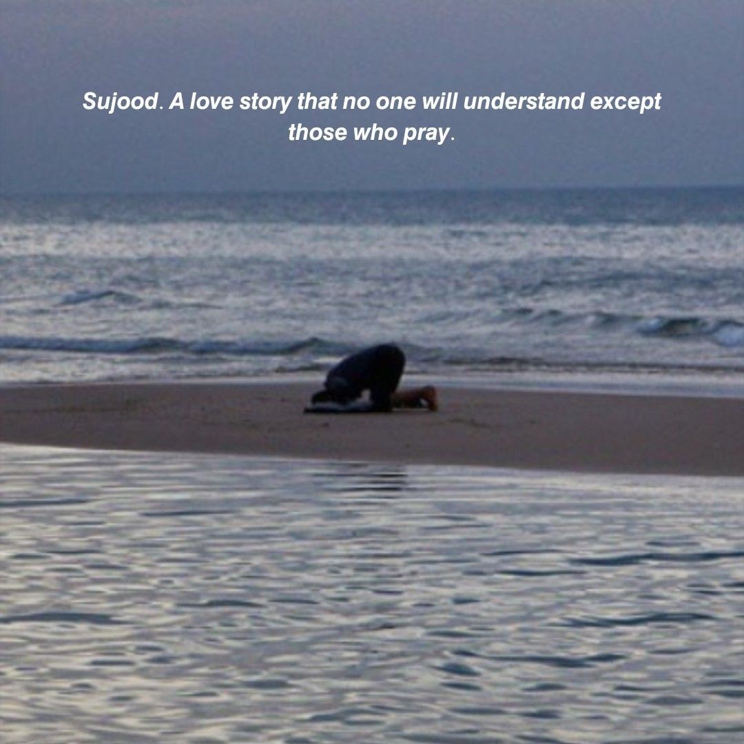 Al__Quraan's tweet photo. “Sujood, a love story that no one will understand except those who pray” https://t.co/03uqku23c6