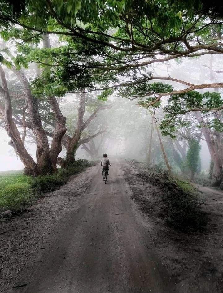 crewforshoots's tweet photo. Trusted by Top production companies around the world for Line Production in Sri Lanka/Maldives Contact: producer@crewforshoots.com visit: https://t.co/opB1ezOL6D #srilanka #filmlocations #crewforshoots #filmcrew #filminginsrilanka #shootinginsrilanka #lineproduction or simply DM https://t.co/njcFQzzbT4