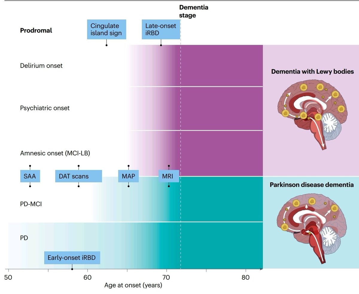 dr_heli's tweet image. Dementia with lewy bodies and Parkinson disease dementia- same or different and is it important? @NatRevNeurol
doi.org/10.1038/s41582…