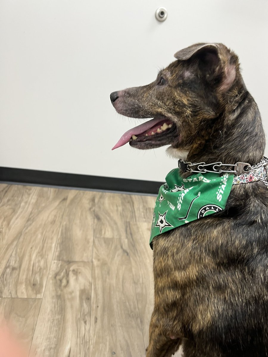 Here To Sports tweet media