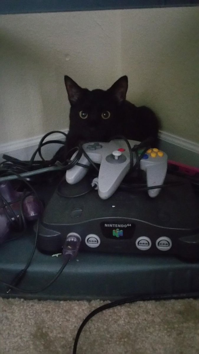 Old Screen (@old_screen) on Twitter photo 