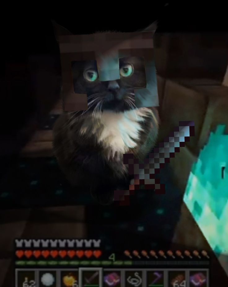 Chmonya ๐ (@chmonya_cat) on Twitter photo "When your cat decides to join your Minecraft survival mode!"๐โโฌ๐พโ๏ธ <a href="/Chmonya_Cat/">Chmonya ๐</a> $Cma "When your cat decides to join your Minecraft survival mode!"๐โโฌ๐พโ๏ธ <a href="/Chmonya_Cat/">Chmonya ๐</a> $Cma