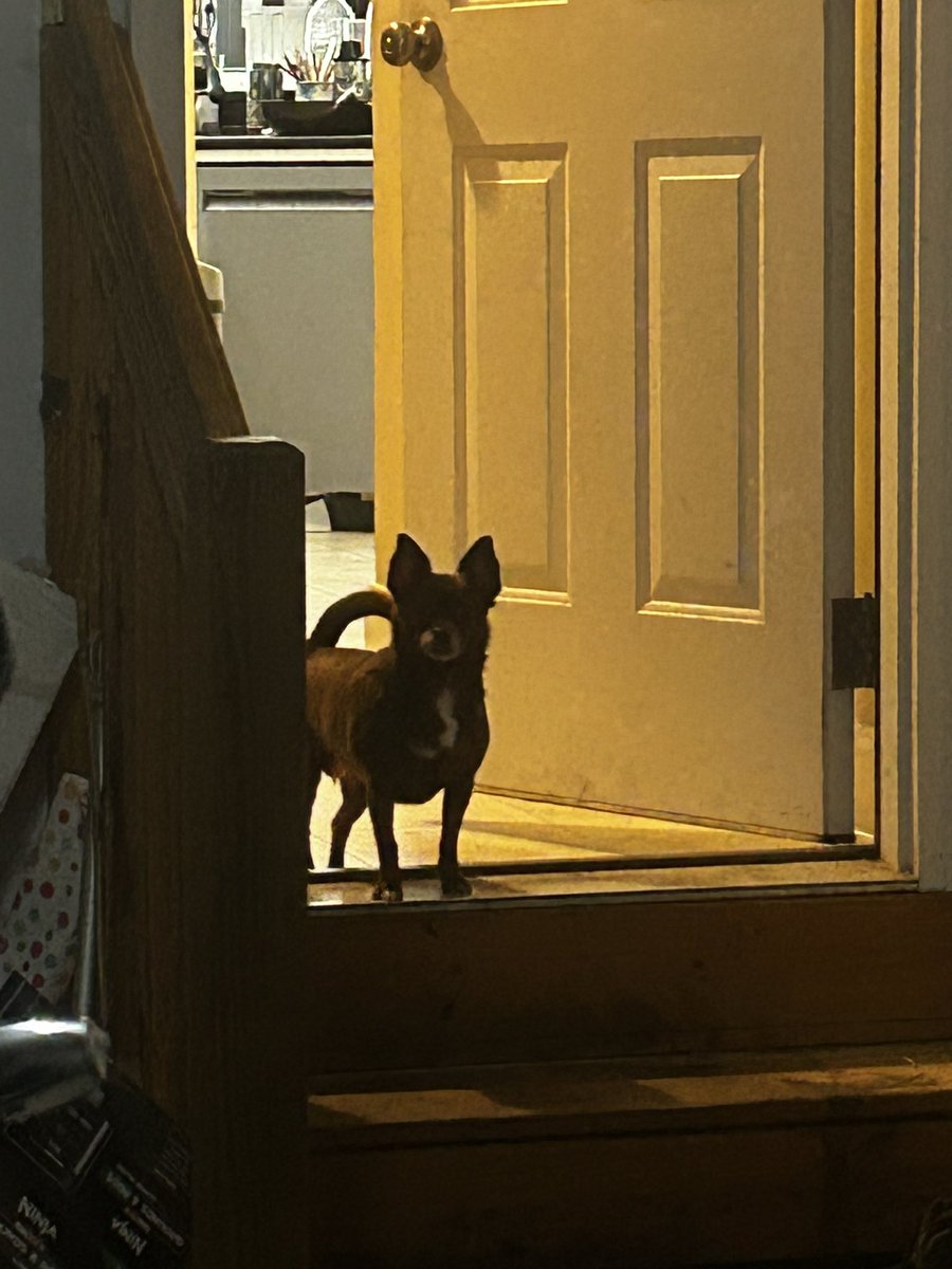 katholicks's tweet photo. @grok make her a creepy human and fat https://t.co/lvZe0xjTBn