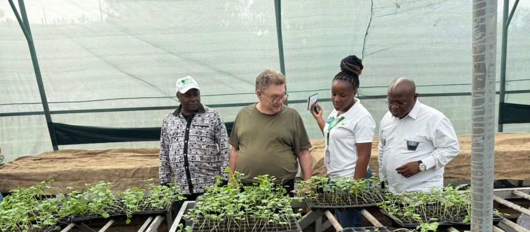 AALI African Agricultural Leadership Institute (@aaliofficiel) on Twitter photo RDC🇨🇩 | Field visit to Mbakana, on the outskirts of #Kinshasa
The President of AALI, Dr <a href="/NteranyaS/">Nteranya Sanginga</a> , accompanied by technical adviser Dr Paul Woomer, Director of Resource Mob., Dr @Mitima , and Corine Bisomerine, crop production officer, Youth Brigade, visited an inspiring RDC🇨🇩 | Field visit to Mbakana, on the outskirts of #Kinshasa
The President of AALI, Dr <a href="/NteranyaS/">Nteranya Sanginga</a> , accompanied by technical adviser Dr Paul Woomer, Director of Resource Mob., Dr @Mitima , and Corine Bisomerine, crop production officer, Youth Brigade, visited an inspiring
