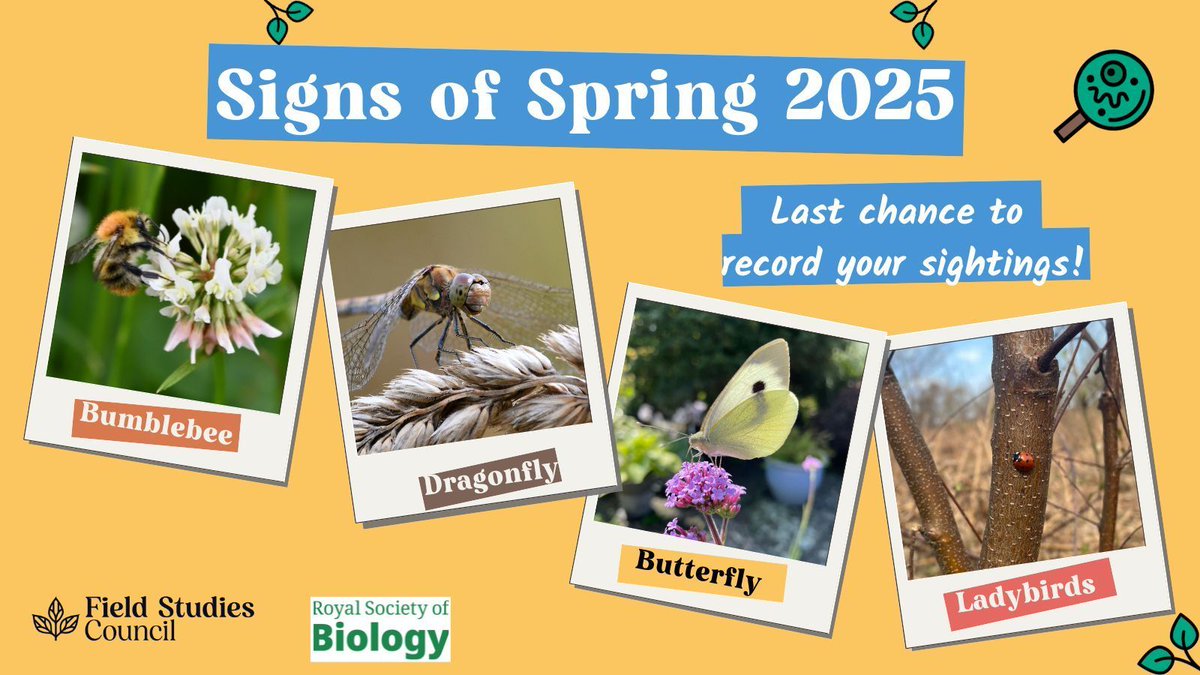 🦋 Last chance to record your #SignsofSpring with <a href="/FieldStudiesC/">Field Studies Council</a> and @royalsocbio - closing soon!
🐞 Please enter indicators you’ve seen into a quick survey now to help us capture
valuable data.
buff.ly/NONs09W #SpringWatch #SpringWildlife