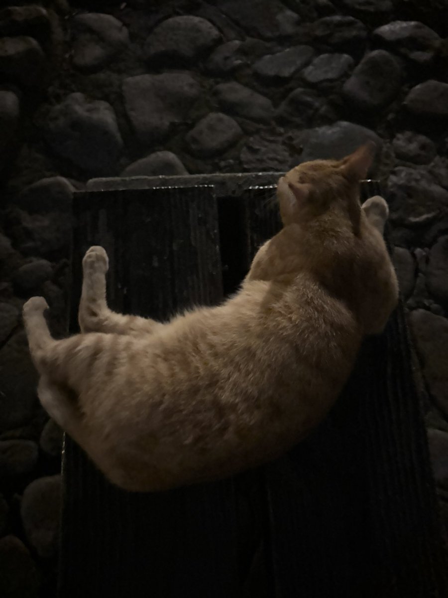 ‎‎ً (@roupiller) on Twitter photo 