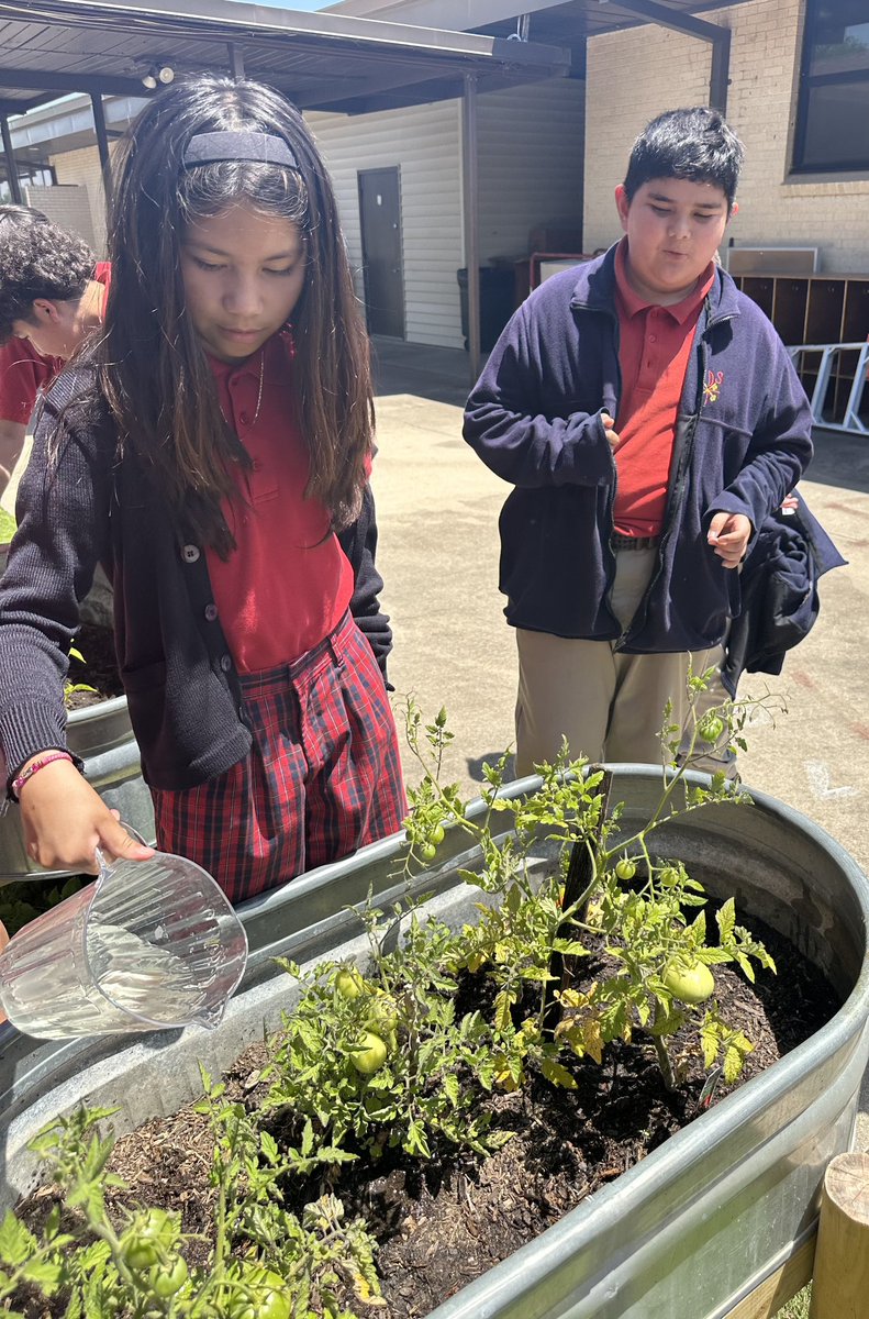 St. Peter the Apostle Catholic School tweet media
