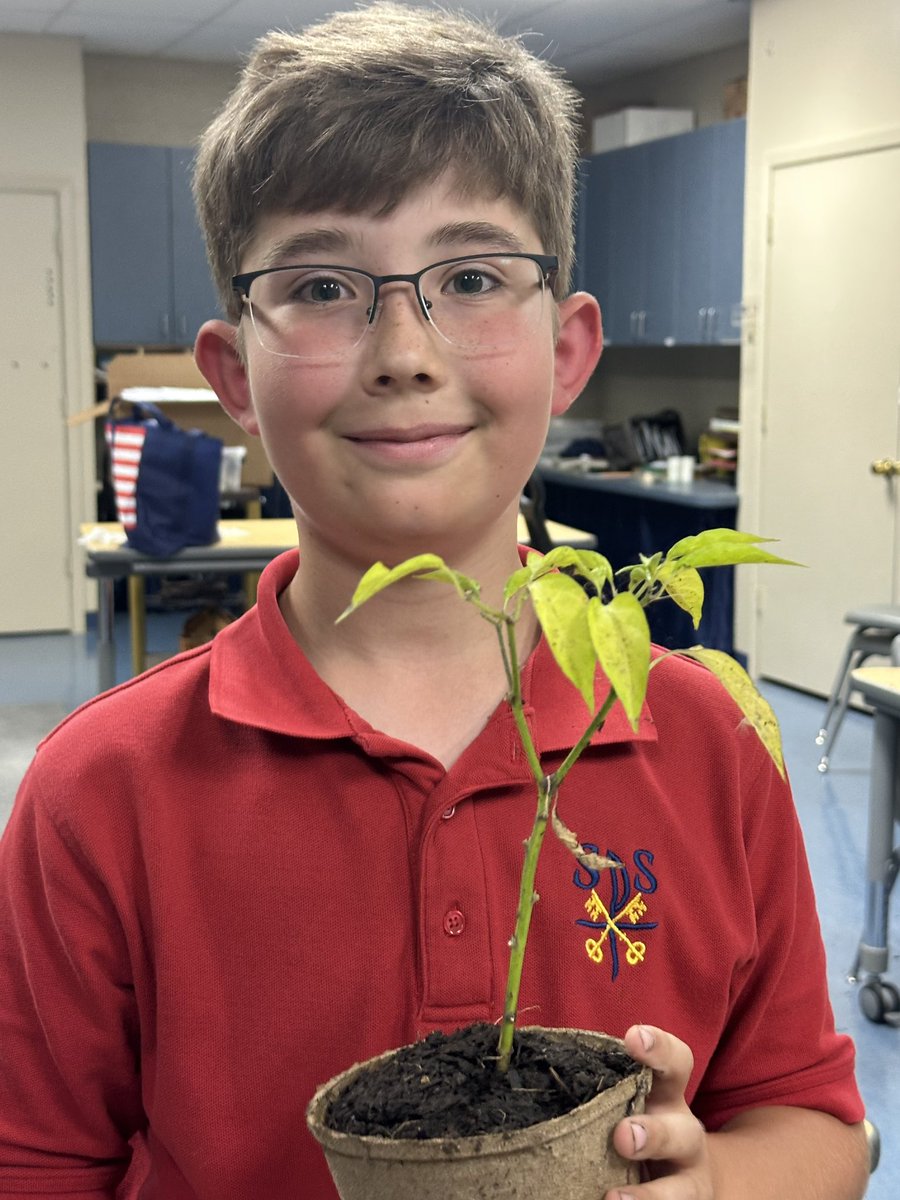St. Peter the Apostle Catholic School tweet media