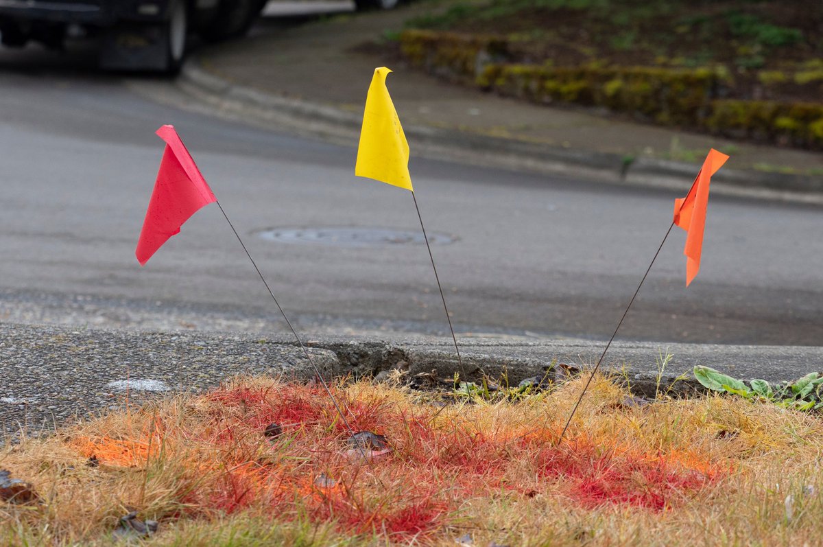 Utility flags are there for a reason! ⚠️ As construction season ramps up, you may see colored flags or spray paint indicating underground utilities. 🚧 🦺 Please don’t remove them—they’re essential for safety and avoiding delays. #ConstructionSeason #UtilitySafety
