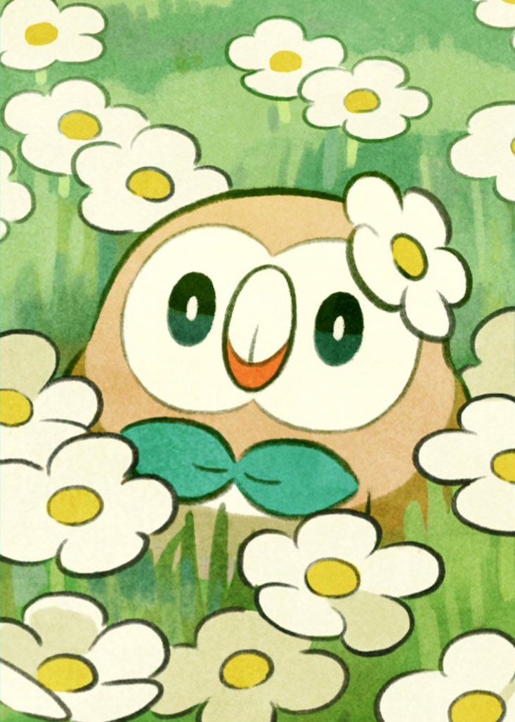 pokémon artworks ✨ (@pokemonszn) on Twitter photo 
