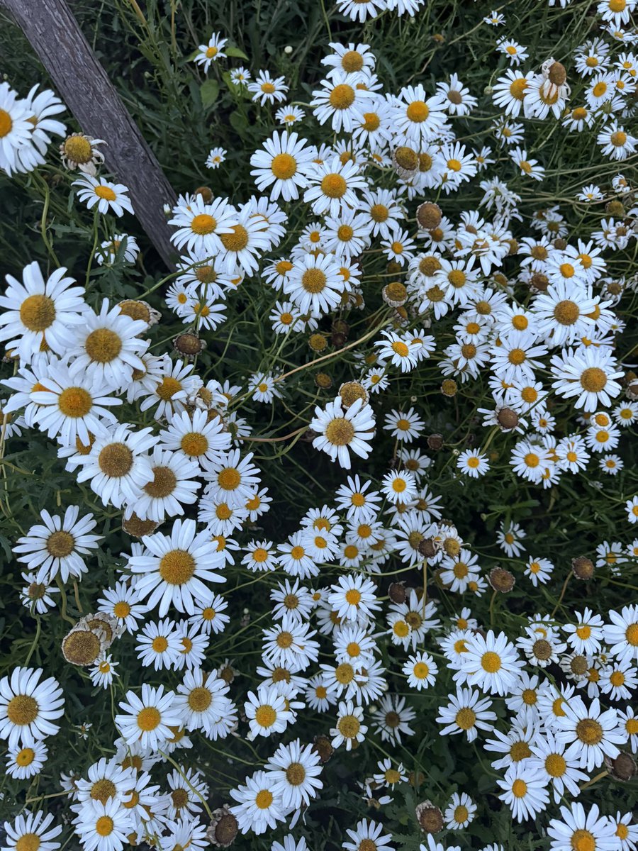 ‎‎ً (@roupiller) on Twitter photo 