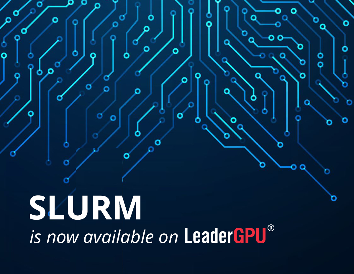 LeaderGPU tweet media