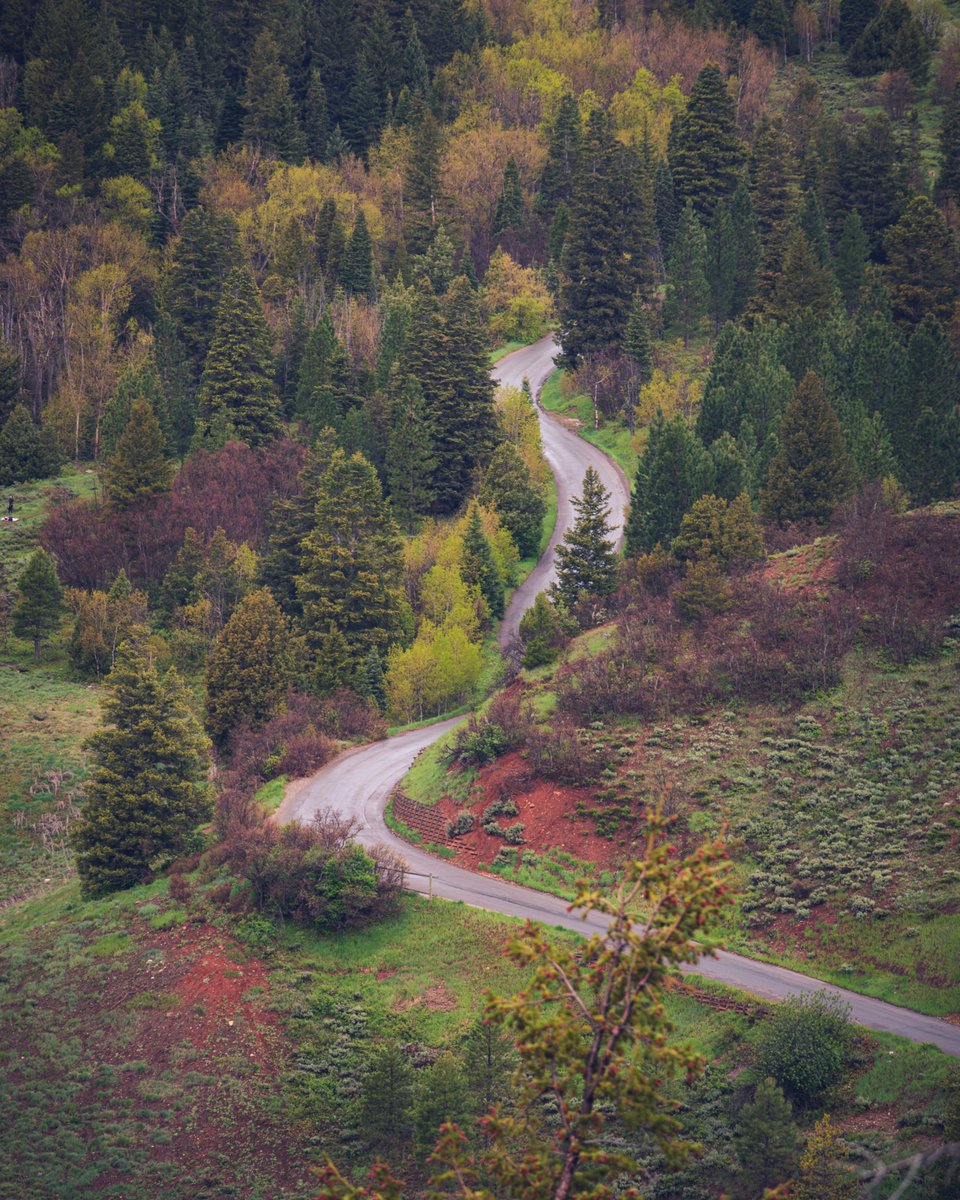 PrestonPhotog's tweet image. Mountain road.
馃摲Nikon Z6 | Nikkor 24-200mm #nikoncreators