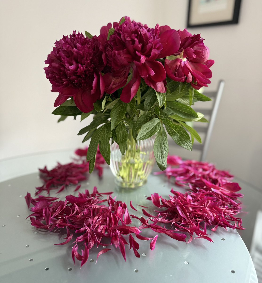 Got home to this sad sight.