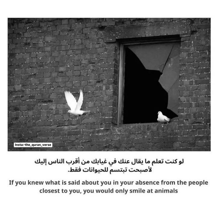 Al_Rayyann's tweet photo. İndeed !!! https://t.co/LaFHtWSoUD