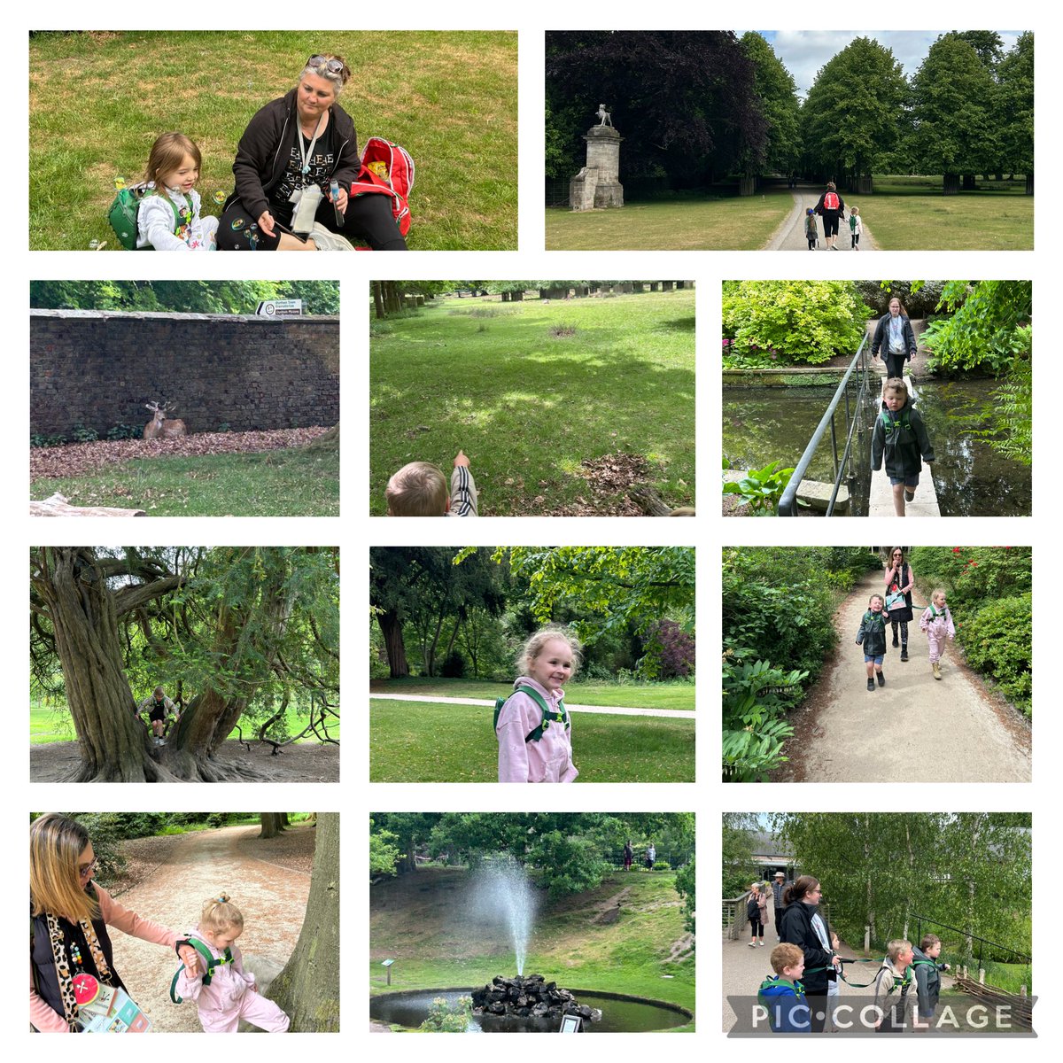 DeePointWillow tweet media