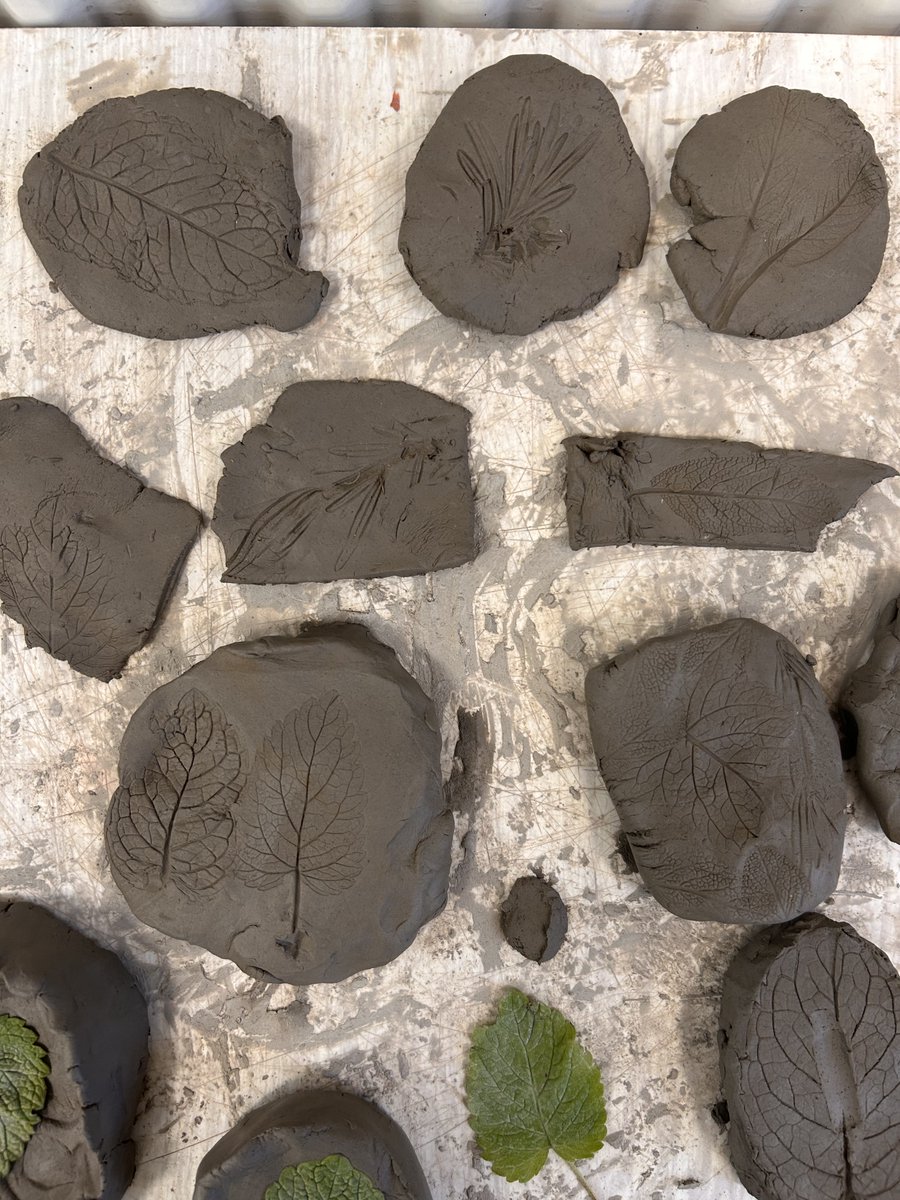 We have enjoyed our last Eco Club after school today. The child have been printing leaves in clay to look at the different patterns. They have also made either a cress head or a cress caterpillar.