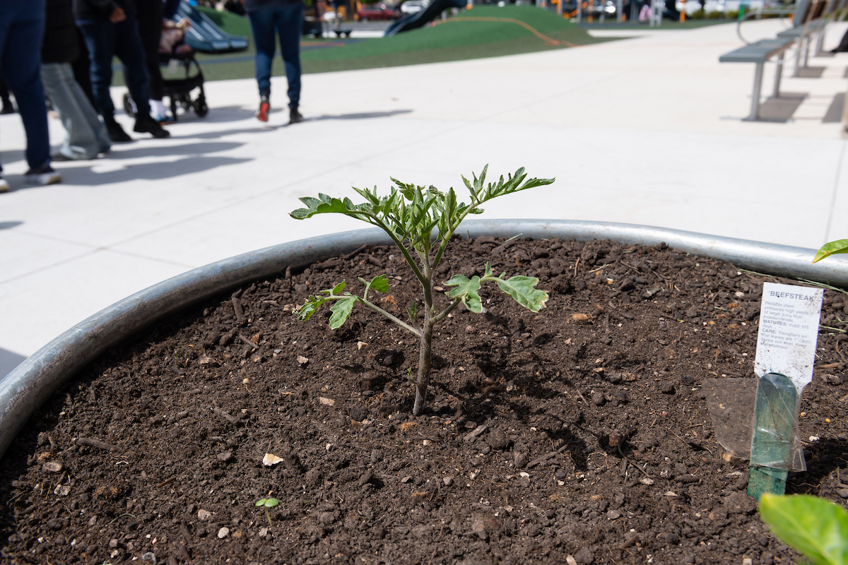 Chicago Department of Environment (@chicagodoe) on Twitter photo We are proud to partner with Healthy Schools Campaign, <a href="/Openlands/">Openlands</a>, <a href="/ChiPubSchools/">CPS - Chicago Public Schools</a>, <a href="/ChicagoWater/">Water Management</a>, and <a href="/MWRDGC/">MWRD</a> on Space to Grow, a program that helps make schoolyards beautiful & climate-resilient. Check out the photos from this week's ribbon-cutting at Brown Community Academy! We are proud to partner with Healthy Schools Campaign, <a href="/Openlands/">Openlands</a>, <a href="/ChiPubSchools/">CPS - Chicago Public Schools</a>, <a href="/ChicagoWater/">Water Management</a>, and <a href="/MWRDGC/">MWRD</a> on Space to Grow, a program that helps make schoolyards beautiful & climate-resilient. Check out the photos from this week's ribbon-cutting at Brown Community Academy!