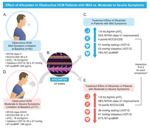 Edgardo Alania (@ed_alania) on Twitter photo đź”´ Efficacy of Aficamten in Patients with Obstructive HCM & Mild Symptoms: Results from the SEQUIOA-HCM Trial <a href="/ESC_Journals/">European Society of Cardiology Journals</a> #Cardiology #CardioEd #FOAMed đź”´ Efficacy of Aficamten in Patients with Obstructive HCM & Mild Symptoms: Results from the SEQUIOA-HCM Trial <a href="/ESC_Journals/">European Society of Cardiology Journals</a> #Cardiology #CardioEd #FOAMed