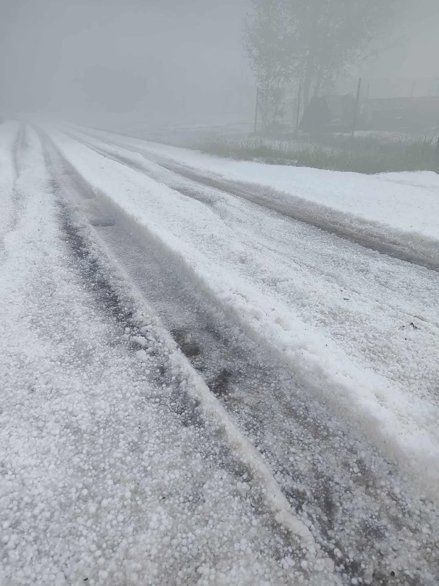 Värskas muutusid teeolud lokaalselt talviseks, kui sadas alla suur hulk rahet.
Winter conditions at Värska today after heavy hail. 
 📸 Auli Karelson 22.05.2025
<a href="/ZatorP/">Myrskysivusto ☈</a>