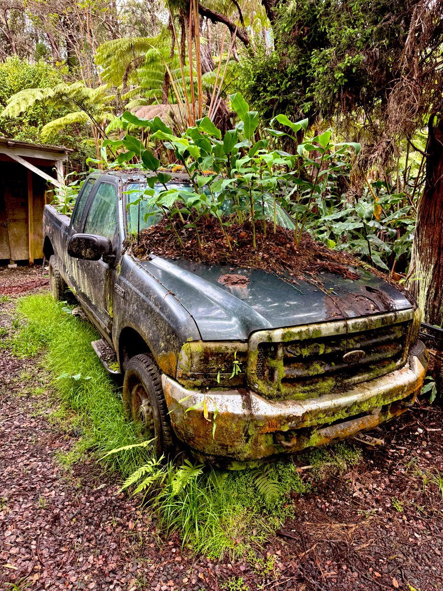 GM. 

Nature wins in the end.