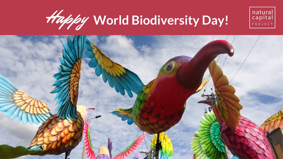 🌎 Happy #WorldBiodiversityDay! Celebrate by checking out a People &amp; Nature paper led by former NatCap post-doc Dr. Echeverri which focuses on Colombian #biodiversity across multiple dimensions.

📖 Get the full story: stanford.io/3PMmNi4